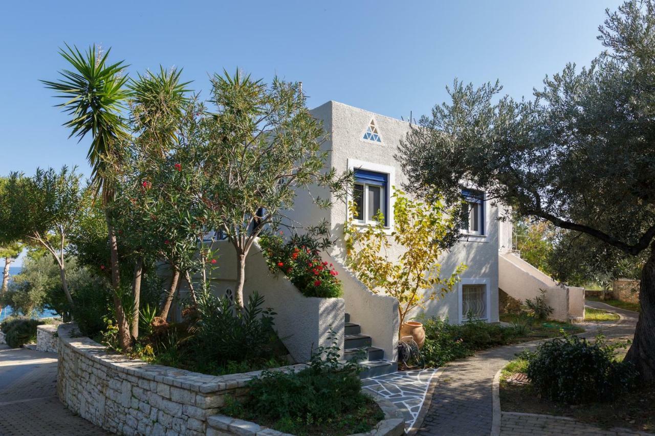 Into The Blue Villa Arkadiko Chorio Exterior foto