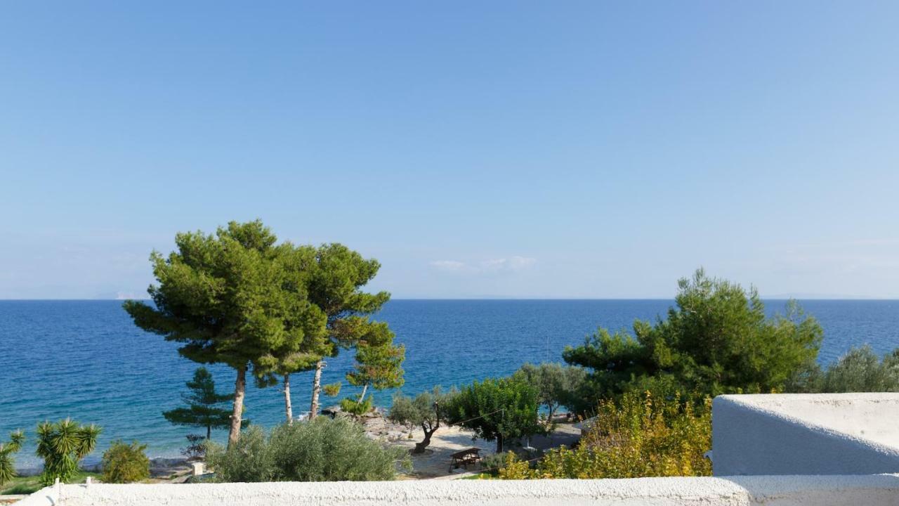 Into The Blue Villa Arkadiko Chorio Exterior foto