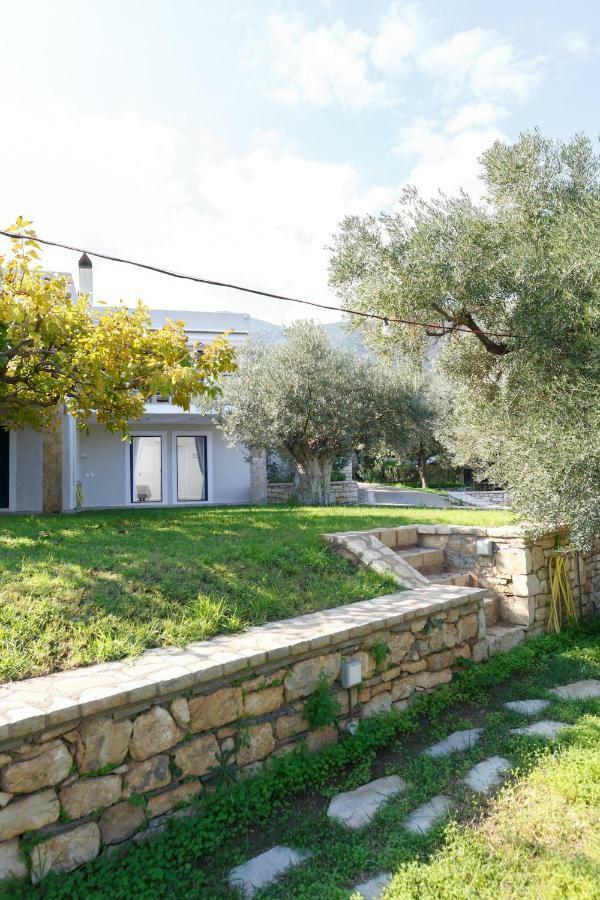 Into The Blue Villa Arkadiko Chorio Exterior foto