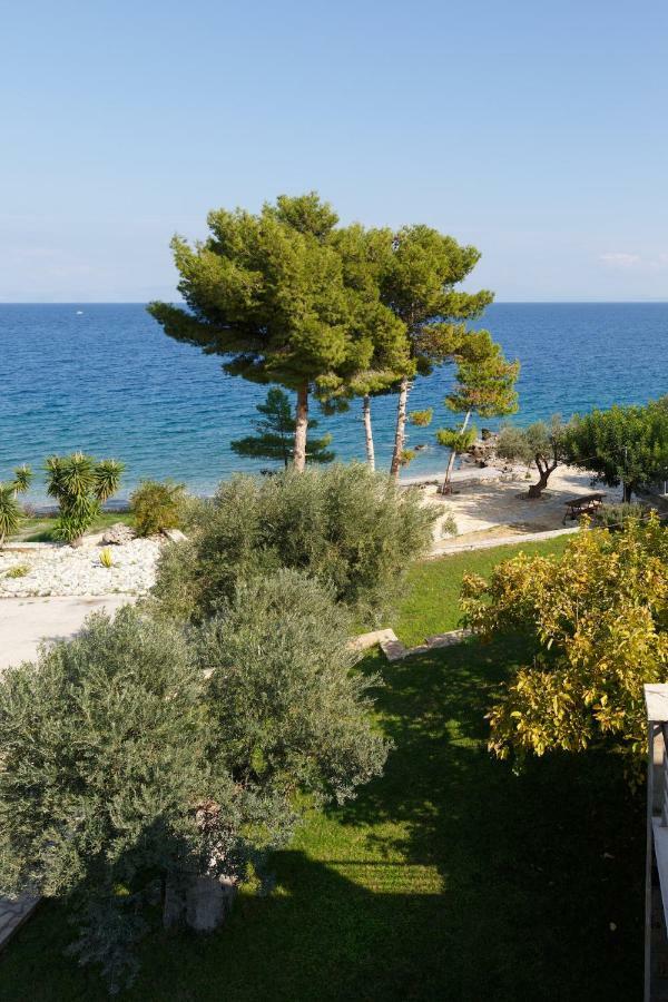 Into The Blue Villa Arkadiko Chorio Exterior foto